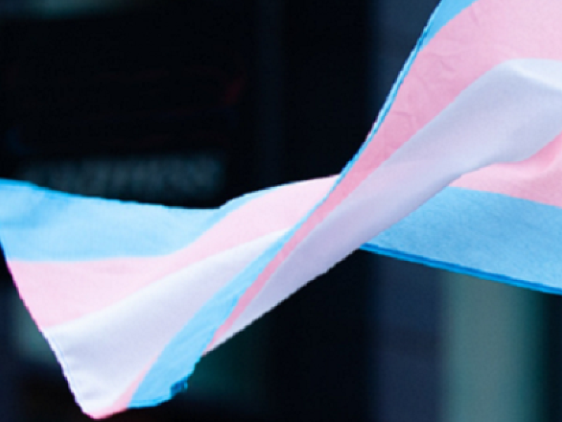 Transgender flag blowing in the wind