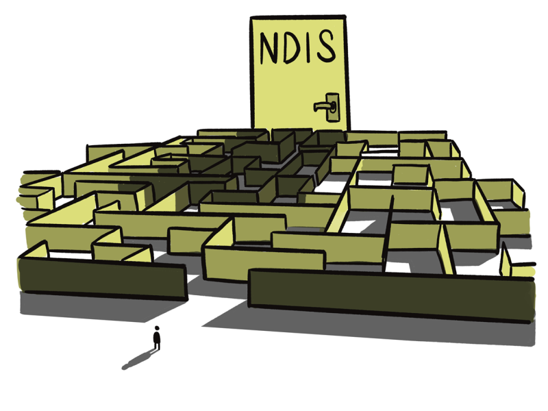 An illustration of a maze before a door with NDIS written on it