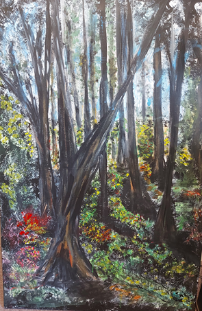 Forest with sun rising behind