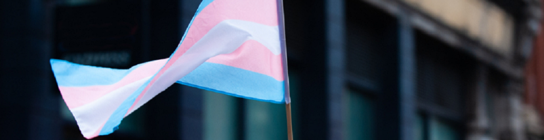 Trans flag soaring high